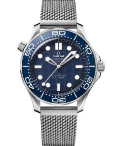 Omega SEAMASTER DIVER 300M 42 mm, steel on steel 210.30.42.20.03.002