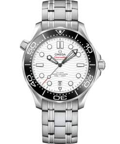 Omega SEAMASTER DIVER 300M 42 mm, steel on steel 210.30.42.20.04.001