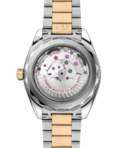 Alternative view of Omega SEAMASTER AQUA TERRA 150M 41 mm, steel ‑ Moonshine™ gold on steel ‑ Moonshine™ gold 220.20.41.21.01.001