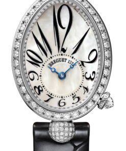 Reine de Naples 8928