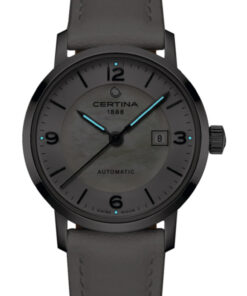 Alternative view of DS Caimano