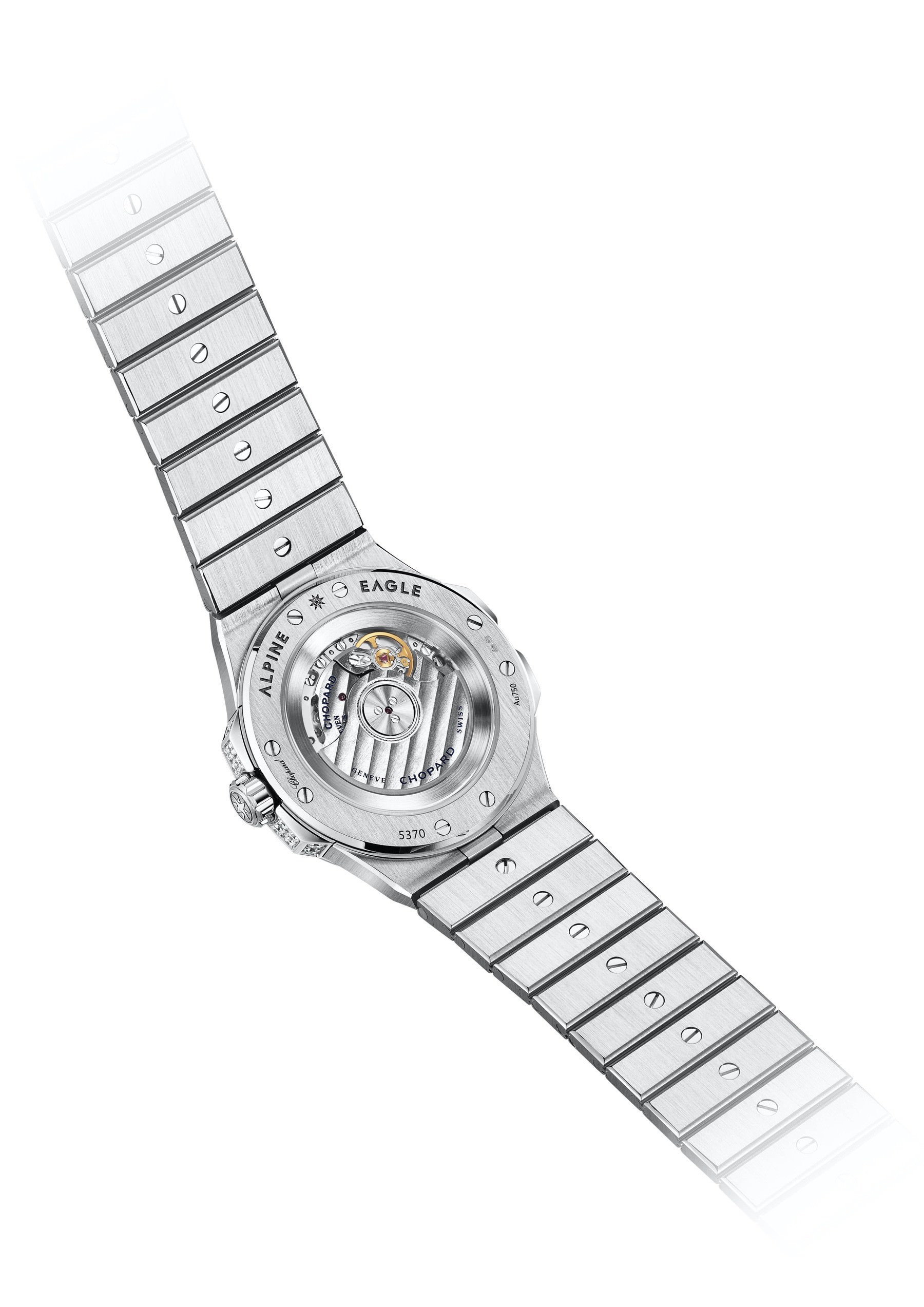 Alpine Eagle Small Frozen - Image 4