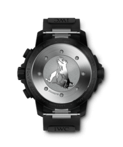 Alternative view of Aquatimer Chronograph Edition “Galapagos Islands”