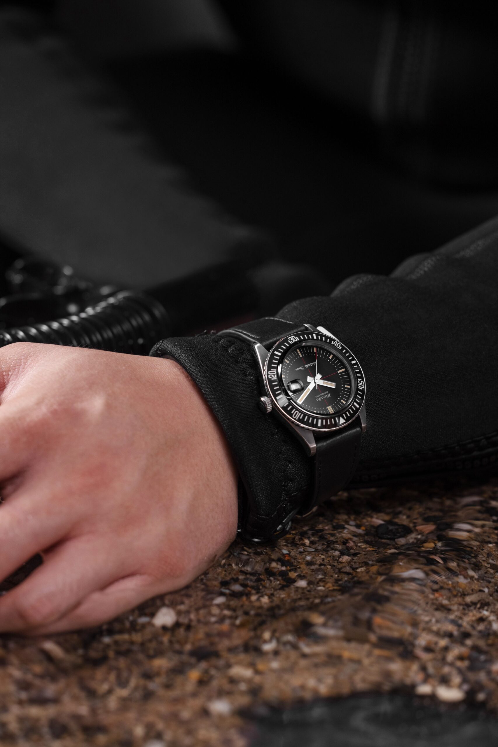 Antarctic Diver Date - Image 8