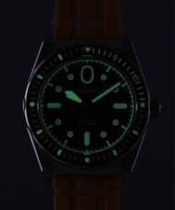 Alternative view of “Amphibia” 0321