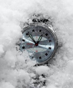 Alternative view of “Polar” 0241