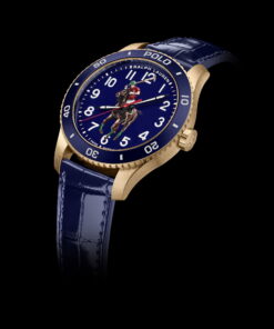 Alternative view of Pony Player